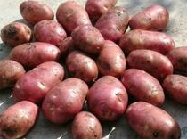 产品展示标题5(图1) 产品展示标题5(图1)